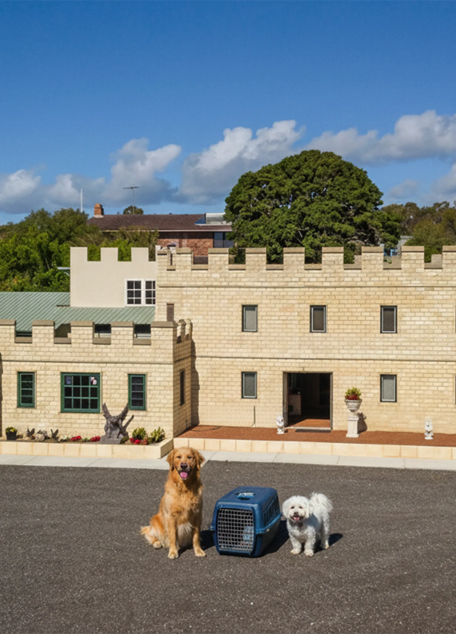 Why Choose Camelot Pet Resort