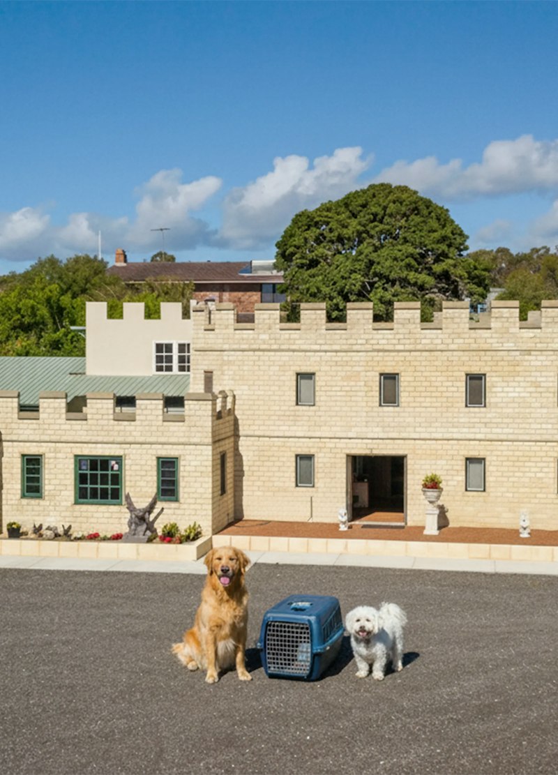 Why Choose Camelot Pet Resort