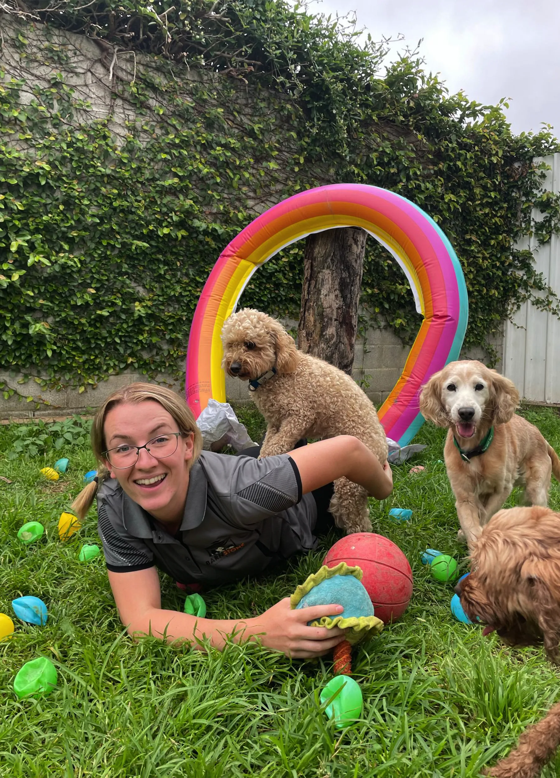 Why Choose Barnstone Kennels & Cattery