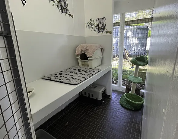 Garden Room Barnstone Cattery