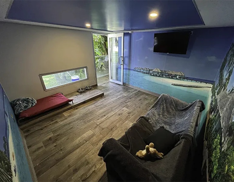 A luxury dog boarding suite themed like a Fiji island at dog boarding facility in Duffy's forest