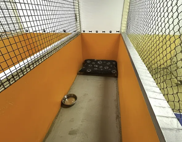Deluxe private room dog boarding