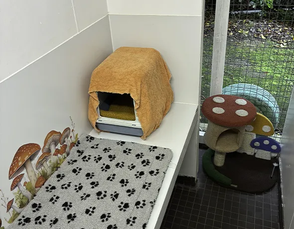 Garden room with mushroom toy