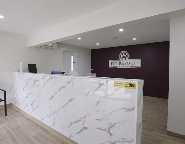 Come and visit our friendly reception area