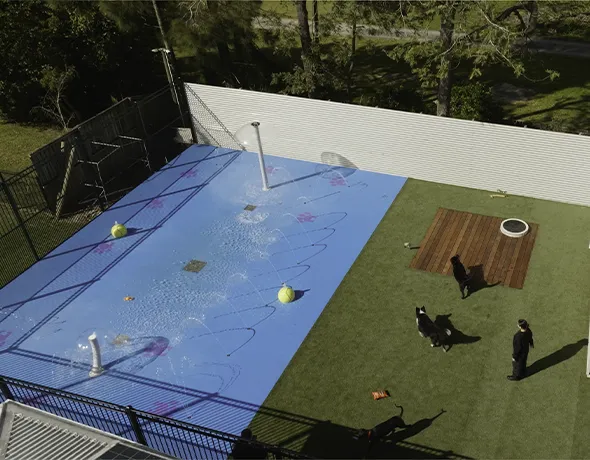 One-of-a-kind dog splashpark in Gumdale