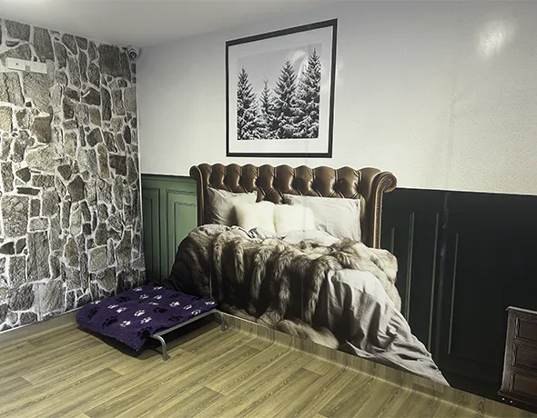 Destination Dog Suite in Aspen Theme