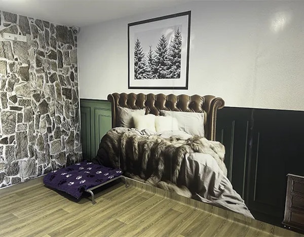 Themed Destination Suites