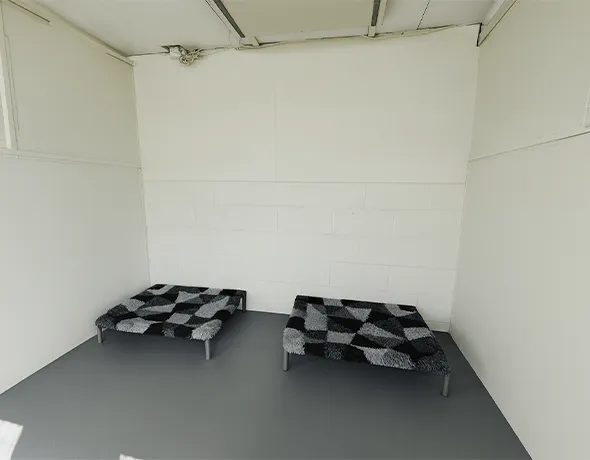 Two dog beds in the dog guest room at Welcome Kennels complete with roof top heater and side internal window