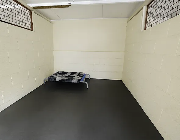 Private Dog Guest Room
