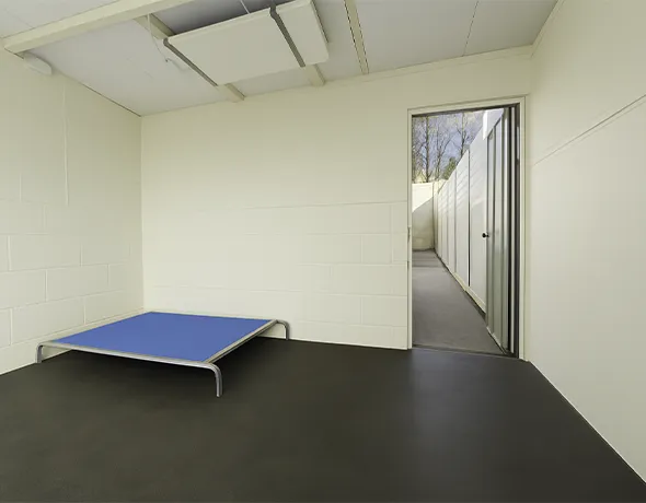 A resort room with trampoline bed and outdoor courtyard at Welcome Kennels