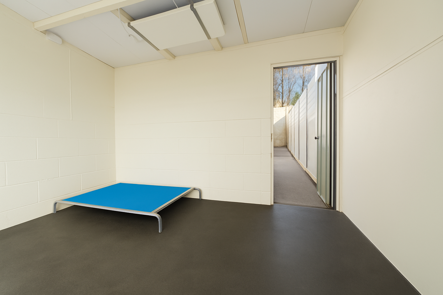 Dog resort room with heater and courtyard