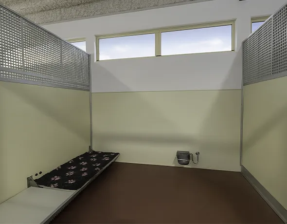 Deluxe dog room