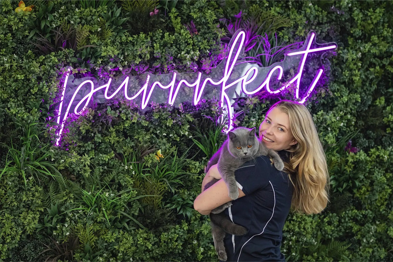 Cattery in Ingleside 