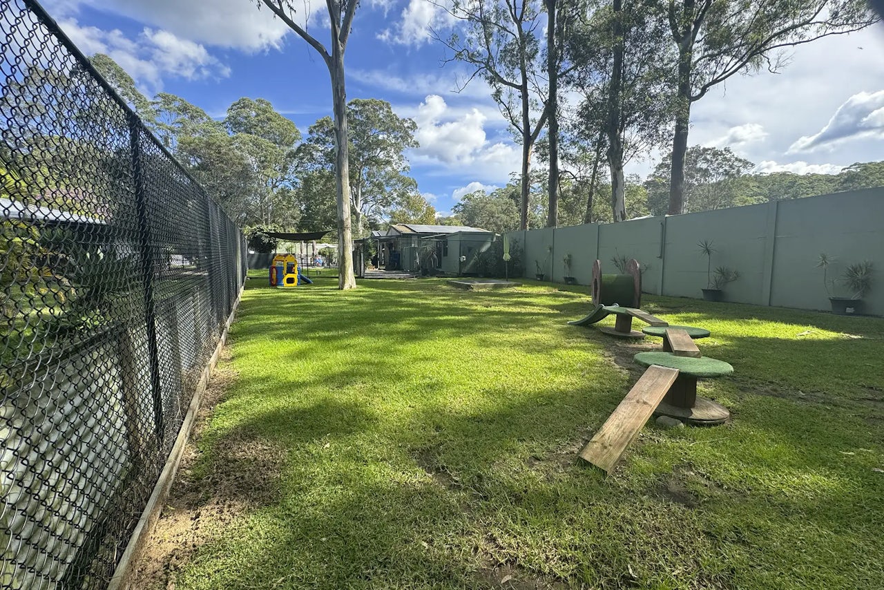 Dog Boarding in Kangy Angy