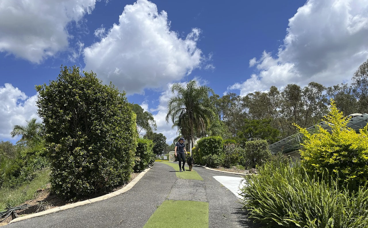 Dog Boarding in Samford