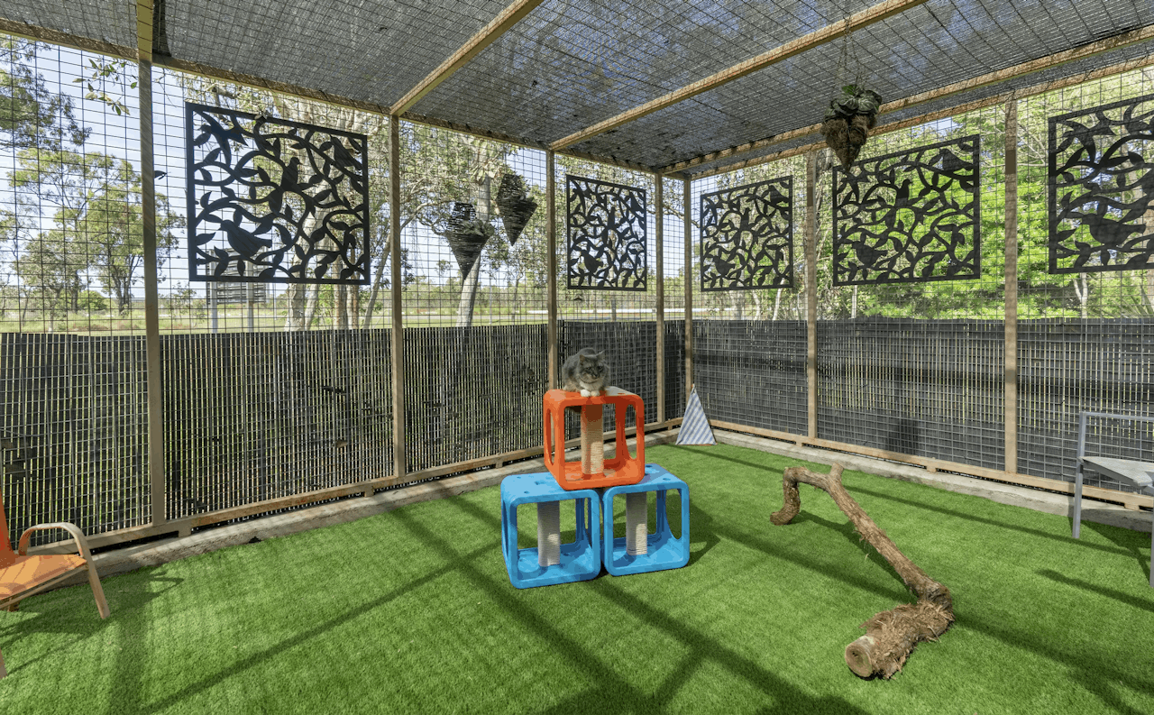Cattery in Townsville