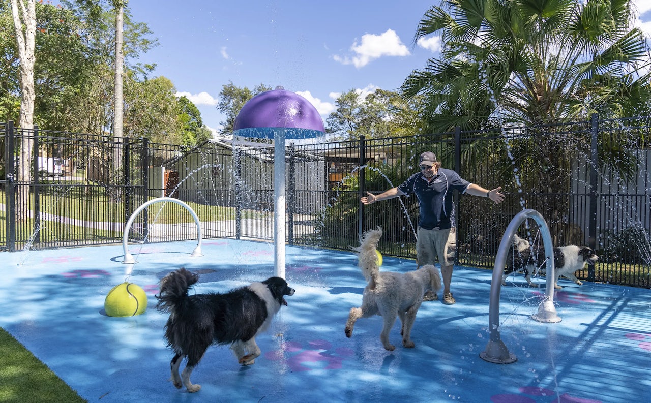 Doggy Daycare in Eumundi-Noosa
