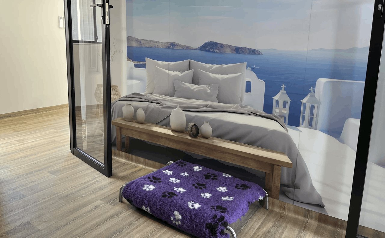 Dog Boarding in Gumdale