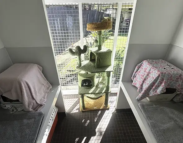 Garden Cat Condo Room with lovely garden views and plenty of space for two sibling cats at Barnstone Kennels and Cattery