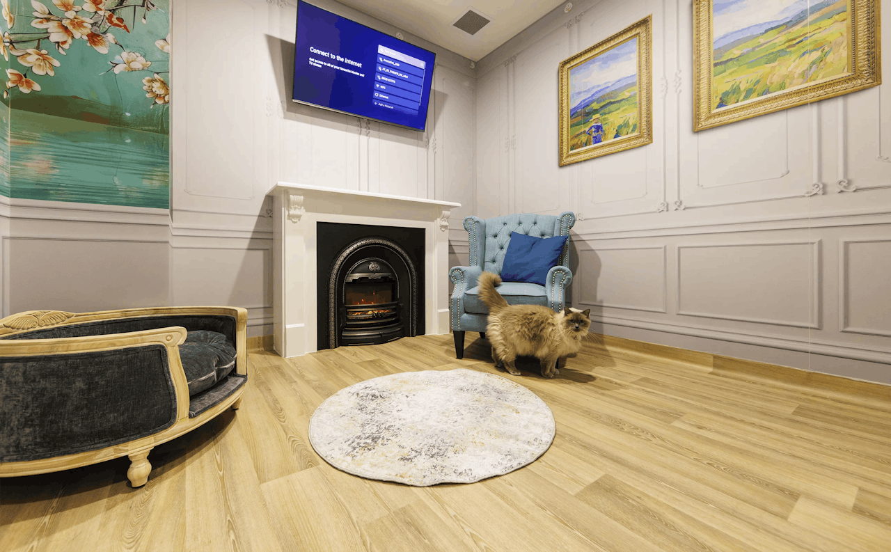 Cattery in Port Melbourne