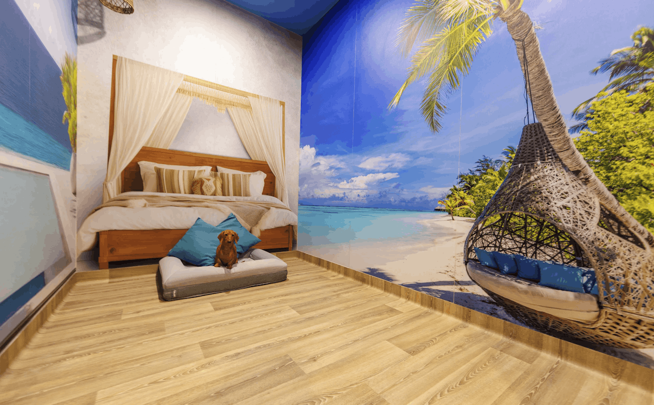 Dog Boarding in Port Melbourne