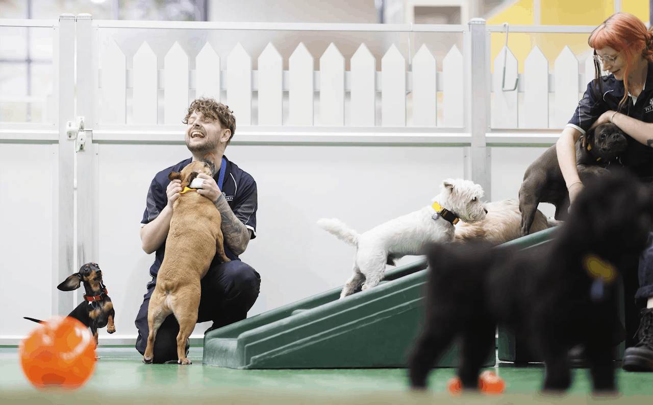 Doggy Daycare in Port Melbourne