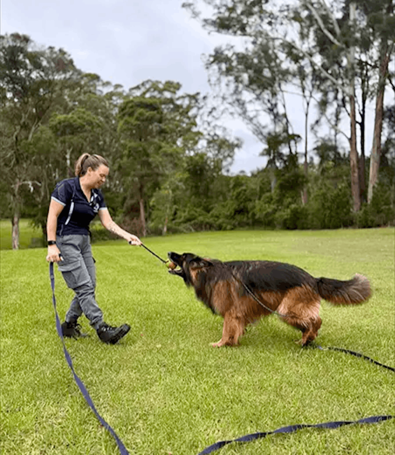 Struggling With Your Dog’s Behaviour? We Have Solutions.