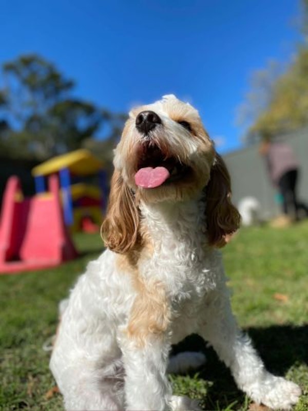 Seven Secure Play Yards