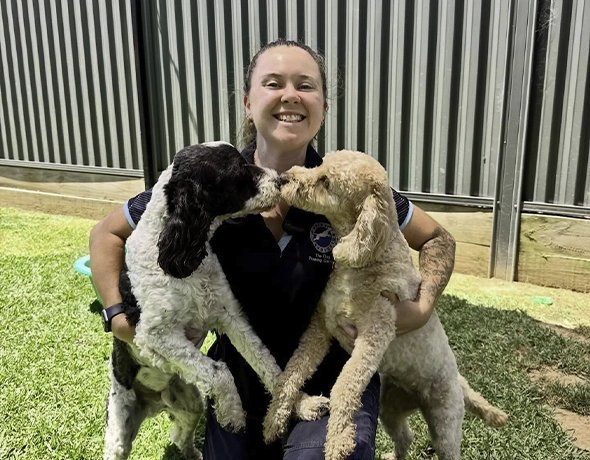 Doggy Day Care Full Day