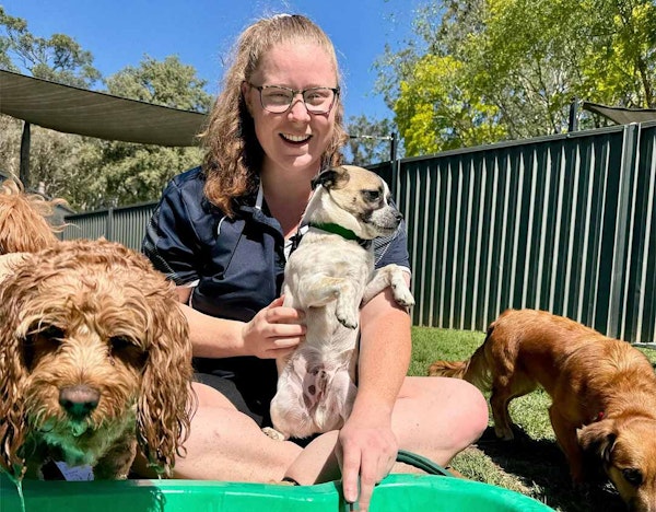 Professional Canine Team