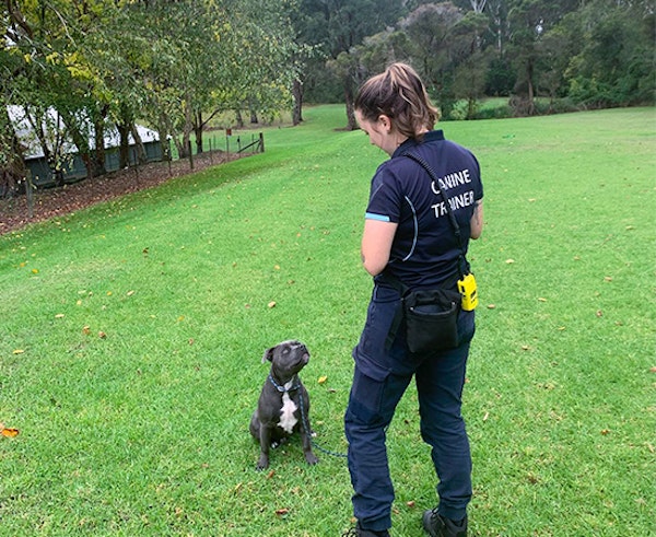 Optional On-Site Training