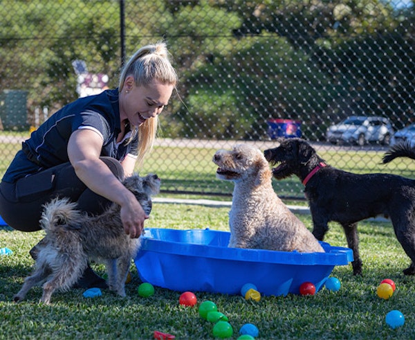 Executive Private Package