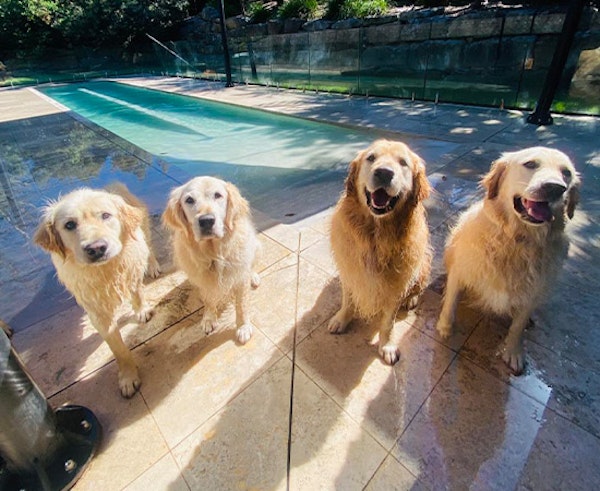 Splash & Play Doggy Pool