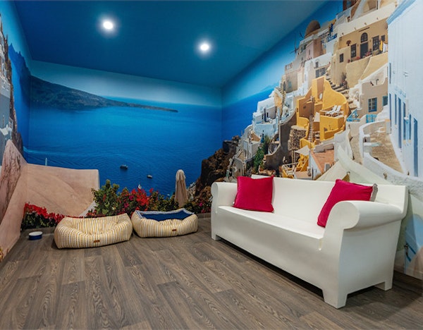 Luxury Destination Suites