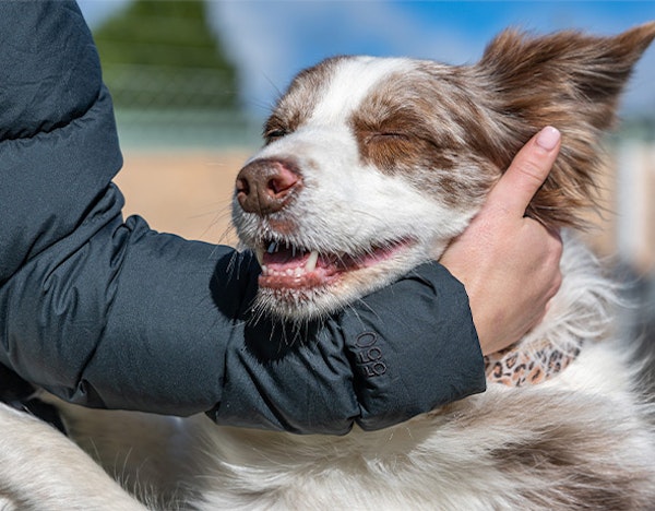 Fresh Air & Open Spaces