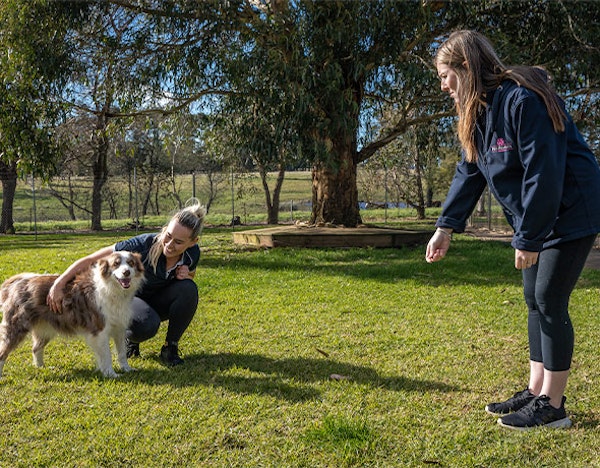 Presidential Packages