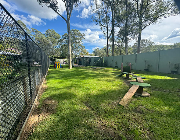 A wide shot of the play yard on acreage at dog boarding resort Pet Resorts Australia Kangy Angy