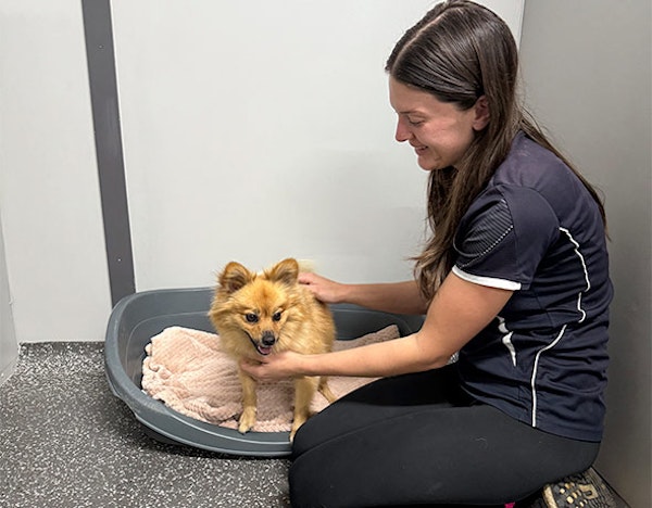 Trained and Caring Pet Care Professionals