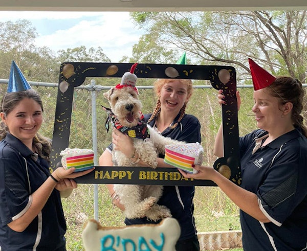 Expert Care You Can Trust