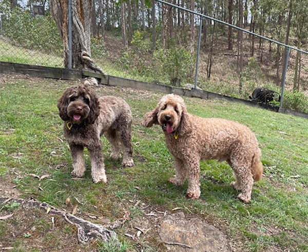 Close to Brisbane, But a World Away