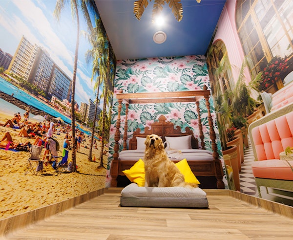 Lavish Luxury for Pampered Pooches