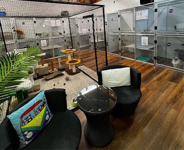 A view of all the cat rooms in the ingleside cattery