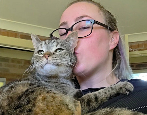 Award Winning Cat Care