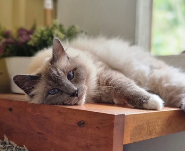 Gentle, Personalised Care 