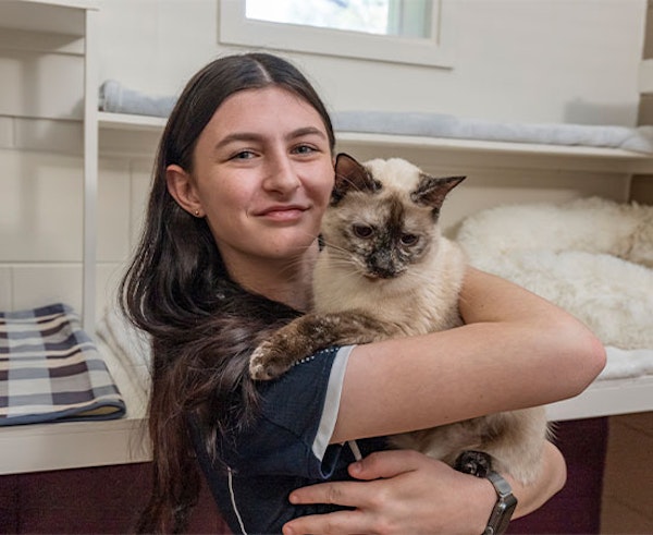 Professional Cat Care