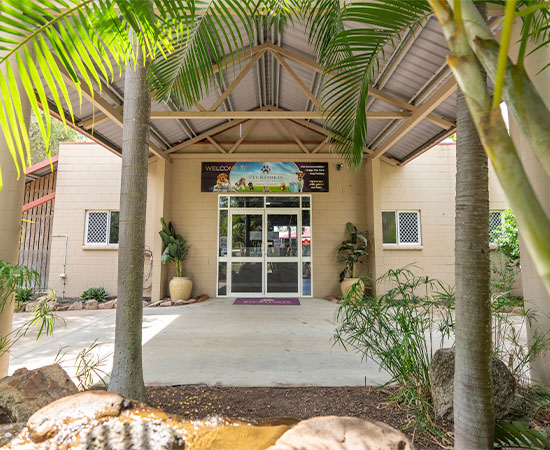 A front view of the townsville cattery reception area