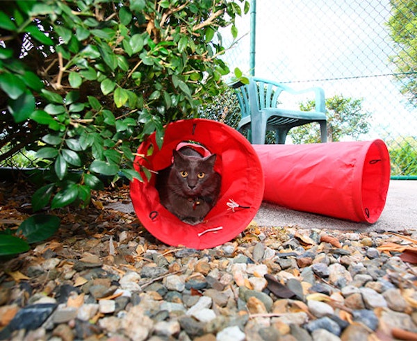 Indoor-Outdoor Comfort