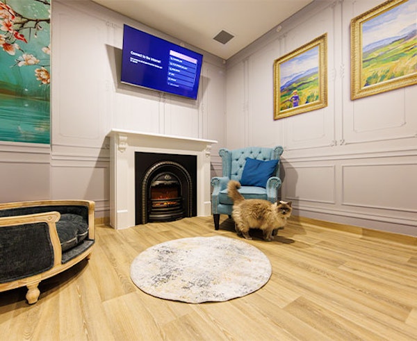 Thoughtfully Designed Private Suites