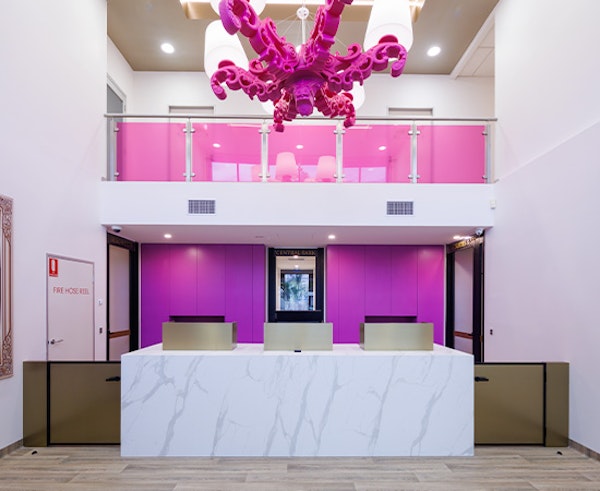 Gentle, Personalised Feline Care