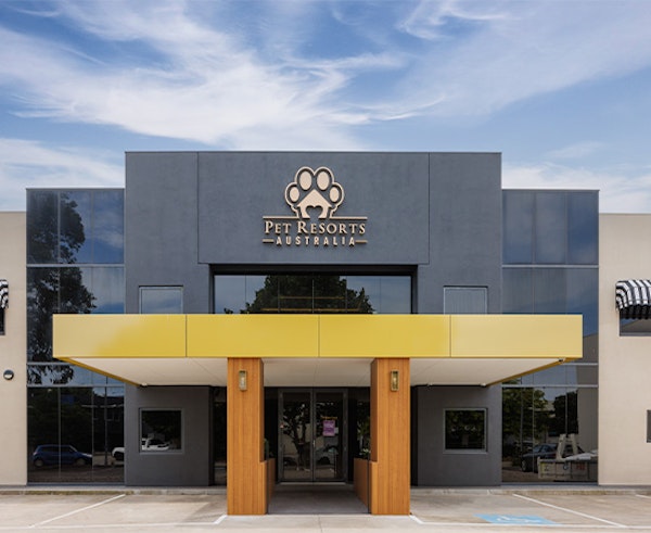 Inner-City Luxury Cat Hotel